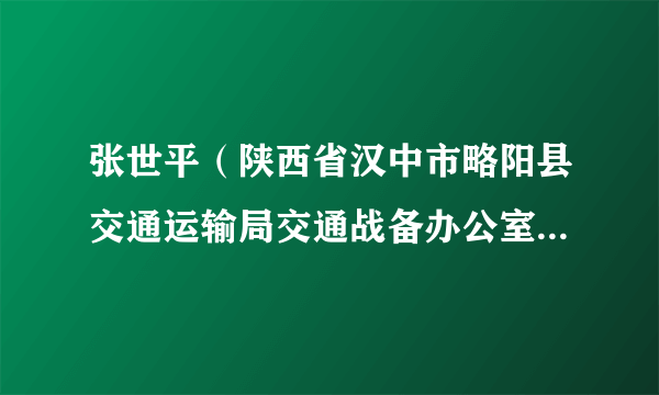 张世平（陕西省汉中市略阳县交通运输局交通战备办公室副主任）