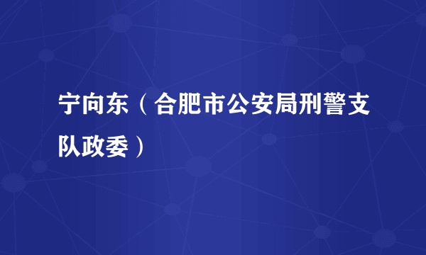 宁向东（合肥市公安局刑警支队政委）