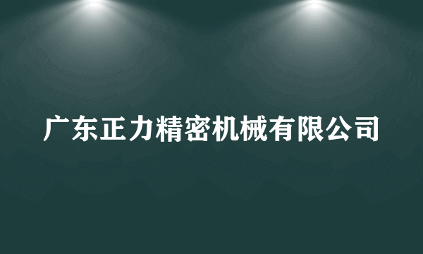 广东正力精密机械有限公司