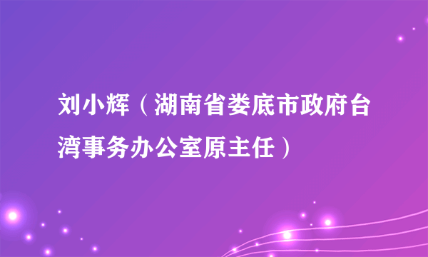 刘小辉（湖南省娄底市政府台湾事务办公室原主任）