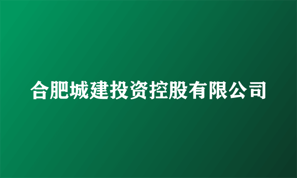 合肥城建投资控股有限公司