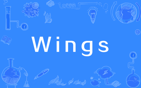 什么是Wings（Web框架）