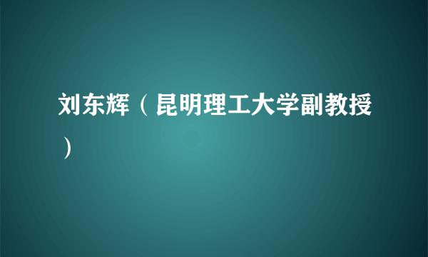 刘东辉（昆明理工大学副教授）