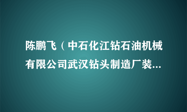 陈鹏飞（中石化江钻石油机械有限公司武汉钻头制造厂装配钳工）