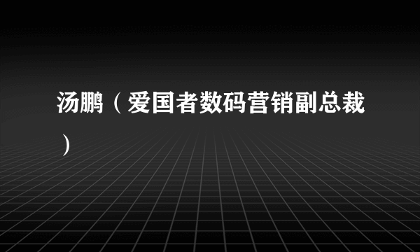 汤鹏（爱国者数码营销副总裁）