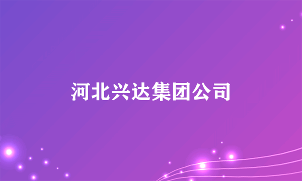 什么是河北兴达集团公司