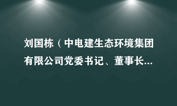 刘国栋（中电建生态环境集团有限公司党委书记、董事长、法定代表人）