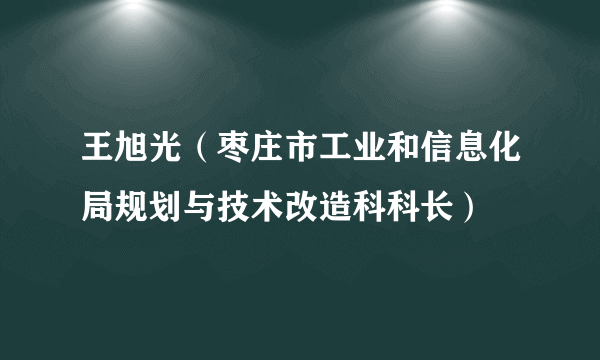 王旭光（枣庄市工业和信息化局规划与技术改造科科长）