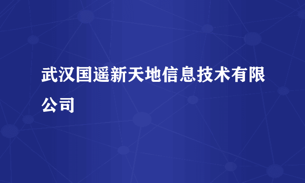 武汉国遥新天地信息技术有限公司