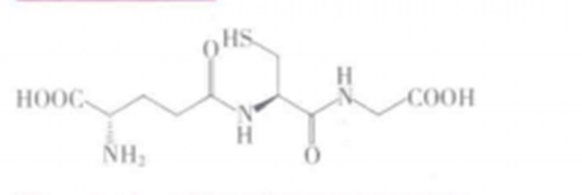 什么是谷胱甘肽