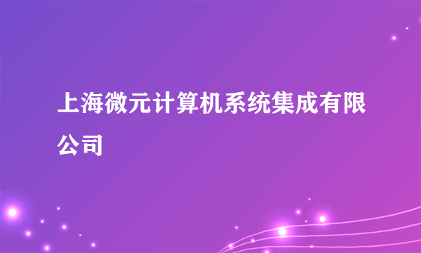 什么是上海微元计算机系统集成有限公司