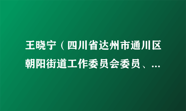 王晓宁（四川省达州市通川区朝阳街道工作委员会委员、人大工委主任）