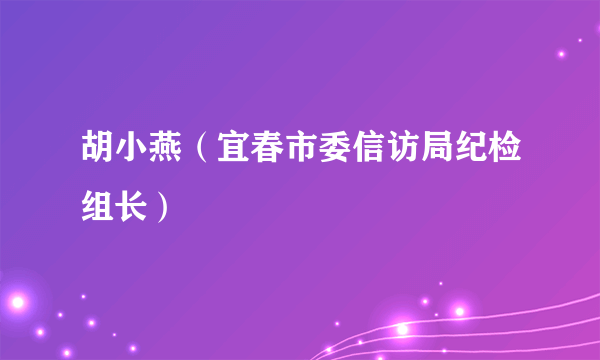 胡小燕（宜春市委信访局纪检组长）