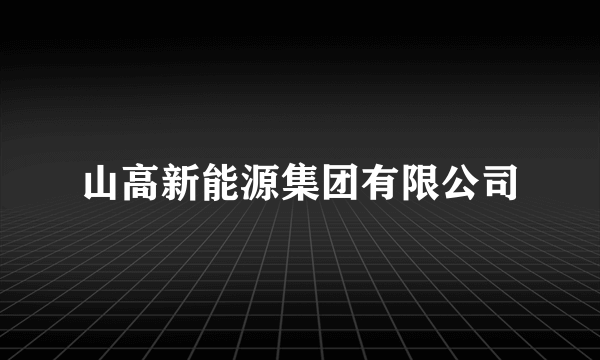 山高新能源集团有限公司