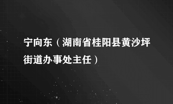 宁向东（湖南省桂阳县黄沙坪街道办事处主任）