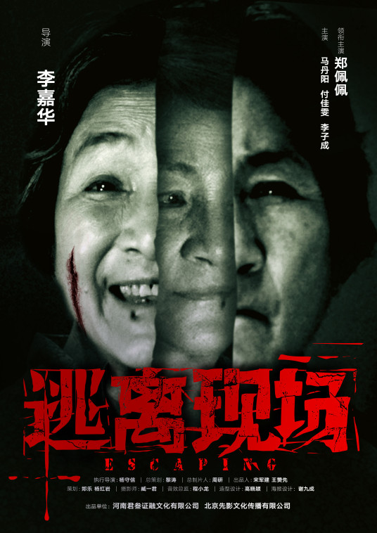 逃离现场（2017年上映郑佩佩、马丹阳主演惊悚犯罪片）