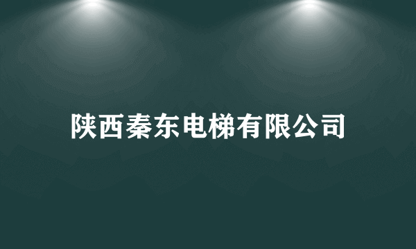 陕西秦东电梯有限公司