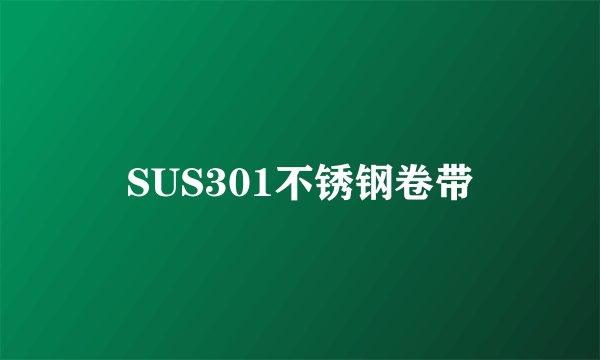 SUS301不锈钢卷带