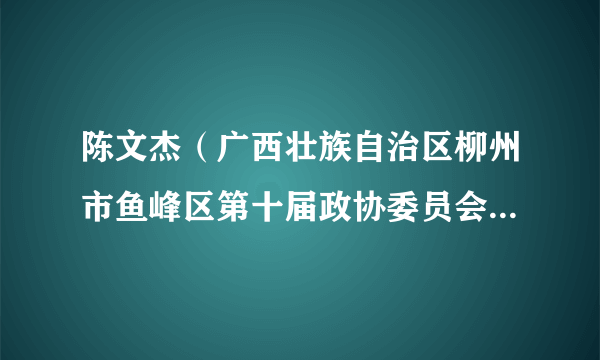 陈文杰（广西壮族自治区柳州市鱼峰区第十届政协委员会副主席）