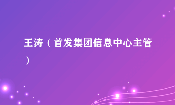 什么是王涛（首发集团信息中心主管）