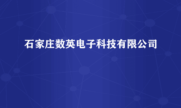 石家庄数英电子科技有限公司