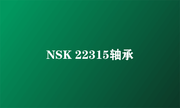 NSK 22315轴承