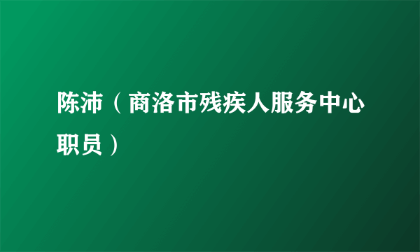 陈沛（商洛市残疾人服务中心职员）