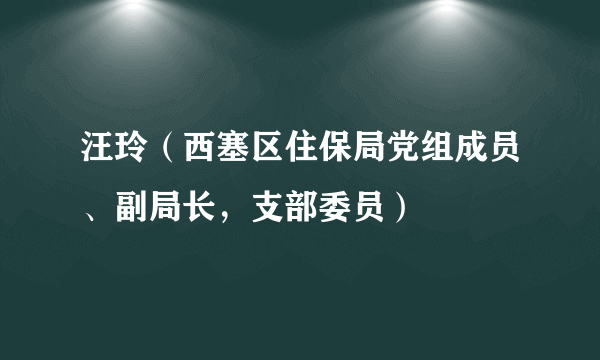 汪玲（西塞区住保局党组成员、副局长，支部委员）