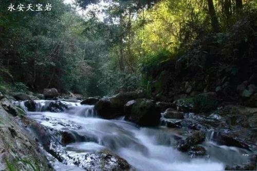 永安天宝岩自然保护区