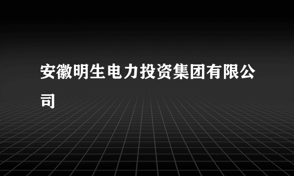 安徽明生电力投资集团有限公司