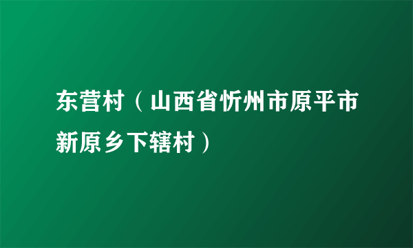 东营村（山西省忻州市原平市新原乡下辖村）