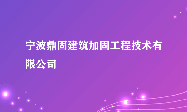 宁波鼎固建筑加固工程技术有限公司