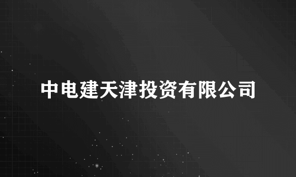 中电建天津投资有限公司