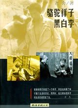 什么是黑白李（1998年南海出版公司出版的图书）