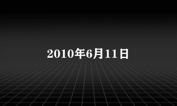 2010年6月11日