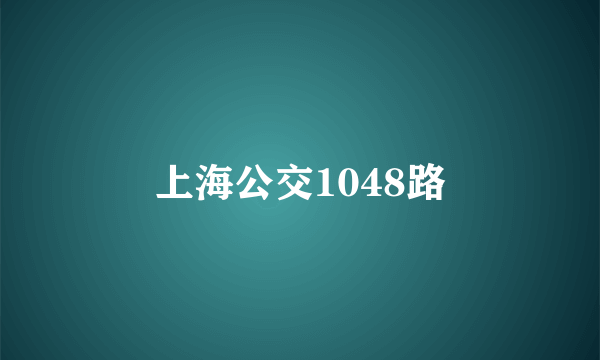 什么是上海公交1048路