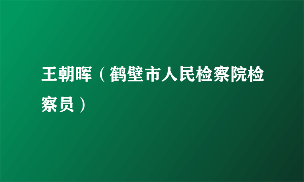 王朝晖（鹤壁市人民检察院检察员）