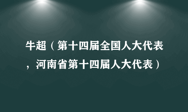 牛超（第十四届全国人大代表，河南省第十四届人大代表）