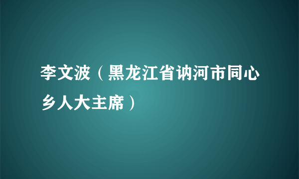 李文波（黑龙江省讷河市同心乡人大主席）