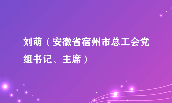 刘萌（安徽省宿州市总工会党组书记、主席）