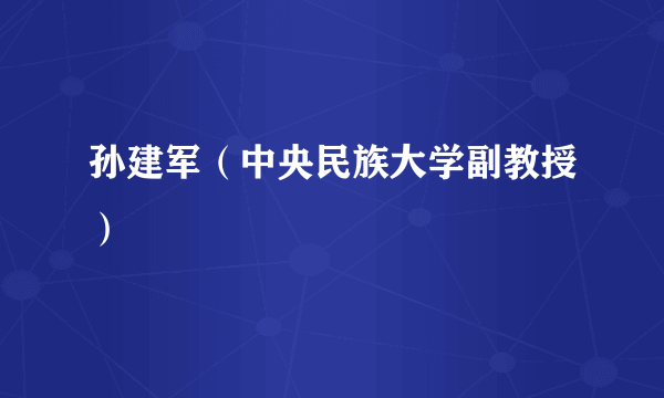 孙建军（中央民族大学副教授）