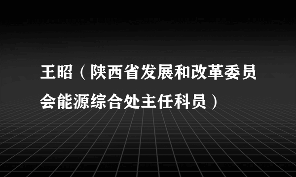 王昭（陕西省发展和改革委员会能源综合处主任科员）