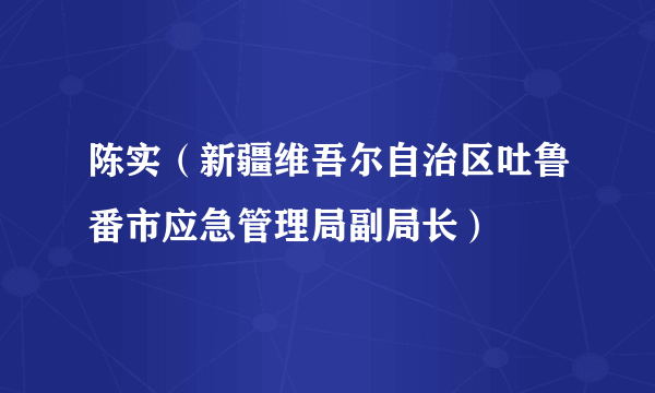 陈实（新疆维吾尔自治区吐鲁番市应急管理局副局长）