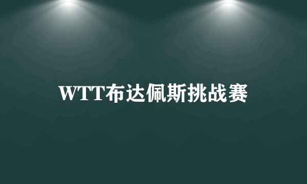 WTT布达佩斯挑战赛