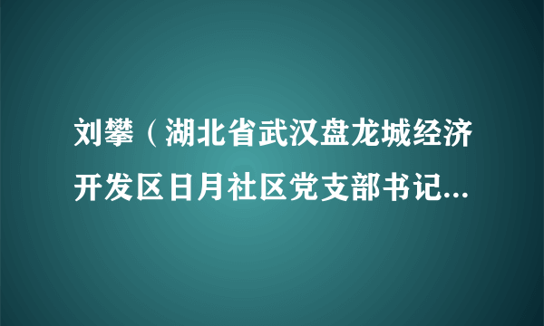 刘攀（湖北省武汉盘龙城经济开发区日月社区党支部书记、居委会主任）