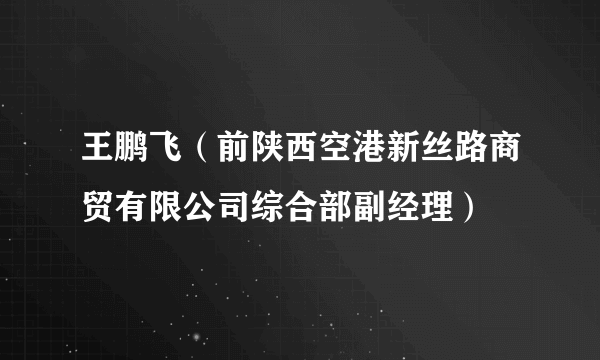 王鹏飞（前陕西空港新丝路商贸有限公司综合部副经理）