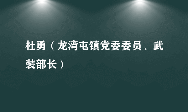 杜勇（龙湾屯镇党委委员、武装部长）