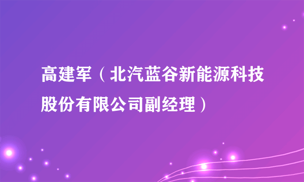 什么是高建军（北汽蓝谷新能源科技股份有限公司副经理）