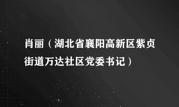 肖丽（湖北省襄阳高新区紫贞街道万达社区党委书记）