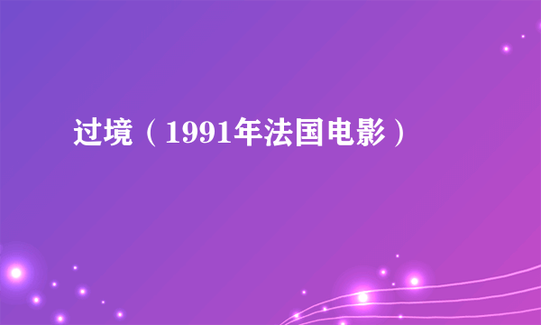 什么是过境（1991年法国电影）